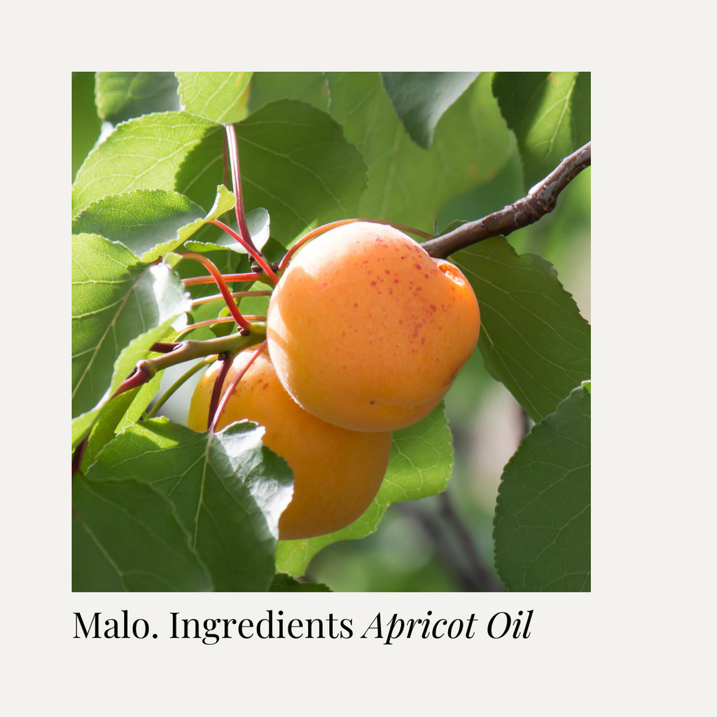 Find out why Apricot Oil is perfect for baby skin: